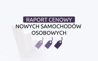 Raport cenowy - Styczeń 2025