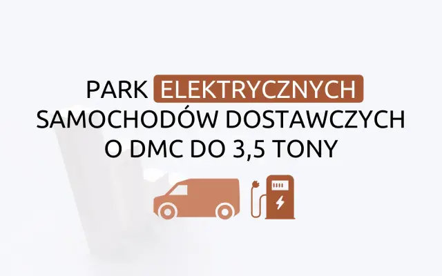 Park elektrycznych aut dostawczych - styczeń 2025