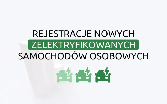 Rejestracje aut zelektryfikowanych - styczeń 2025 roku